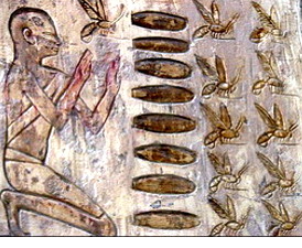 мед и пчелы на египетских фресках